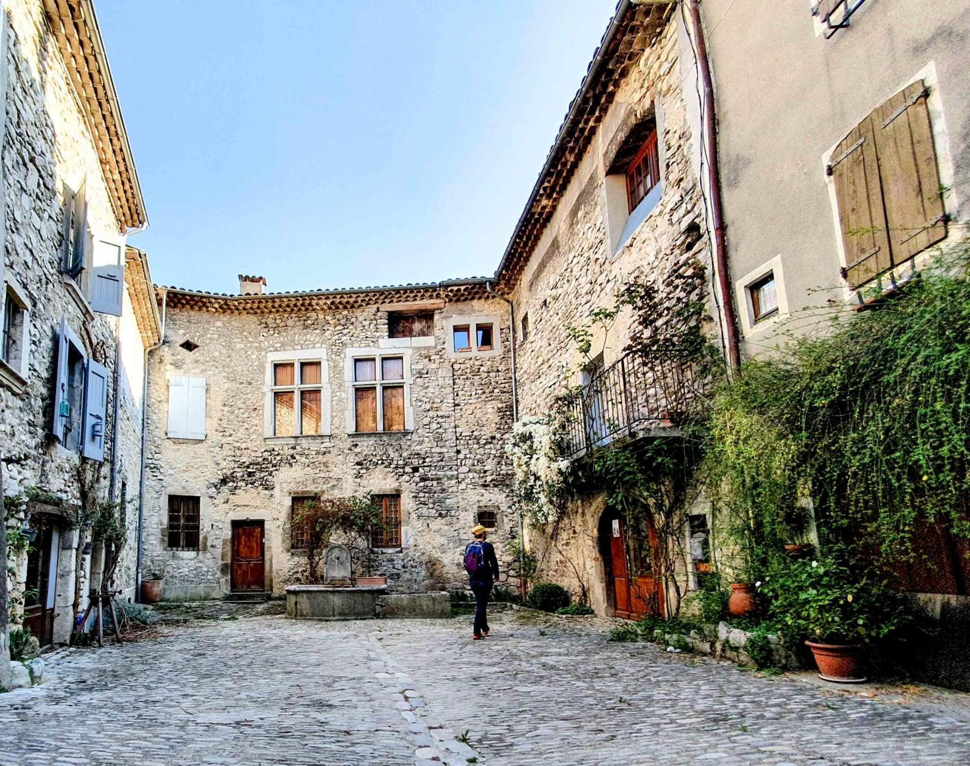 Hotel Le Dauphine Châtillon-en-Diois Esterno foto