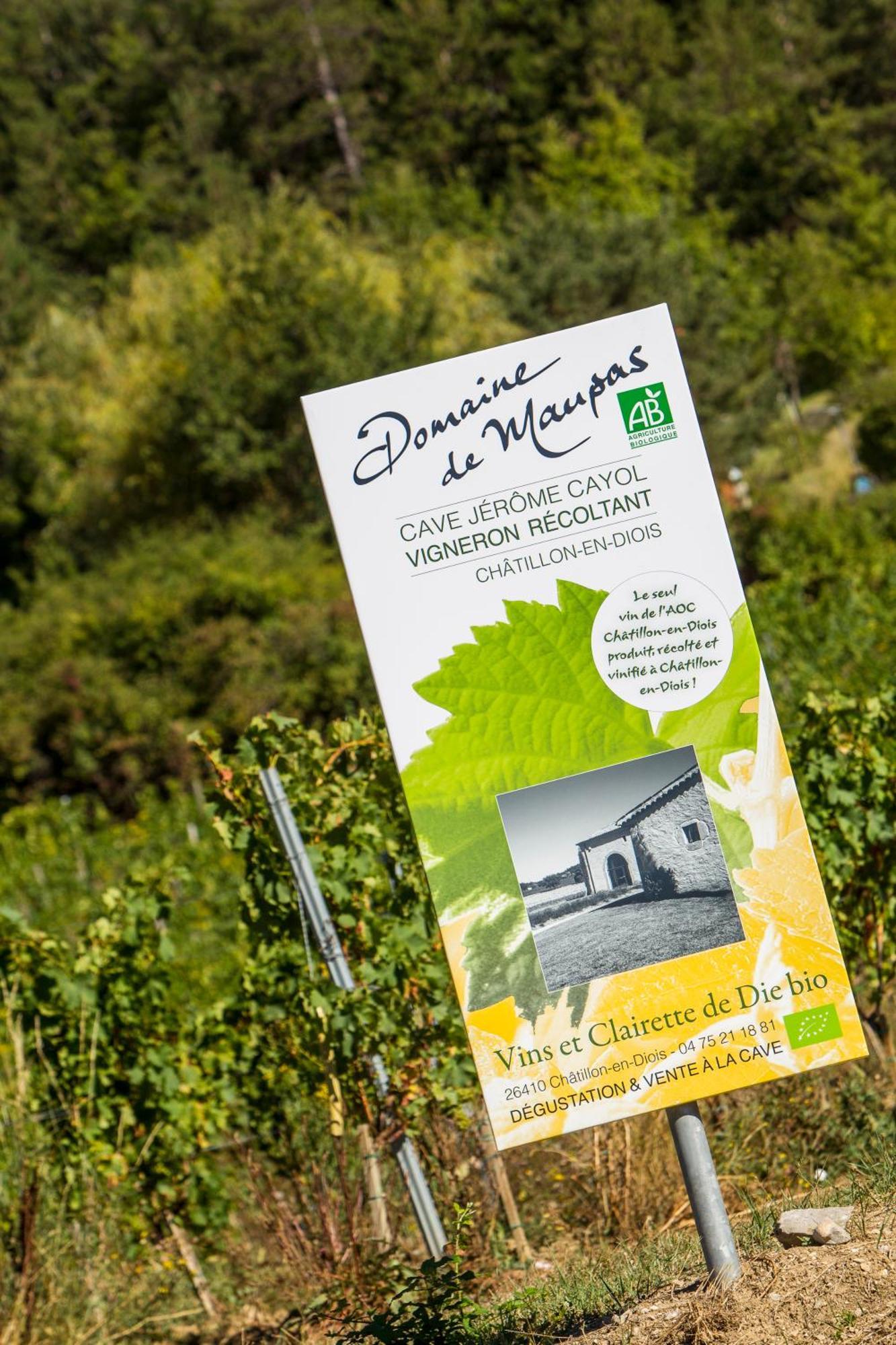 Hotel Le Dauphine Châtillon-en-Diois Esterno foto
