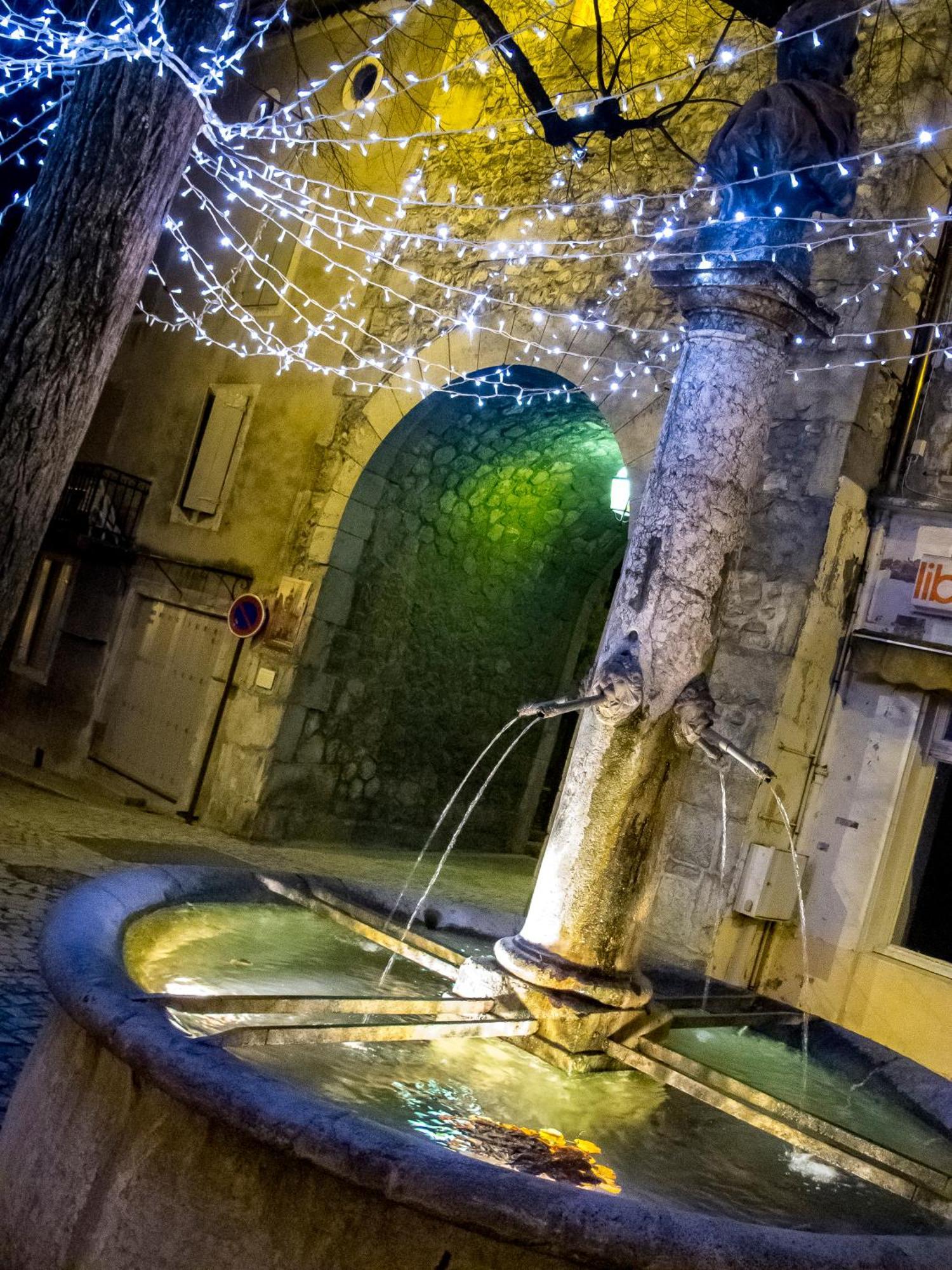 Hotel Le Dauphine Châtillon-en-Diois Esterno foto