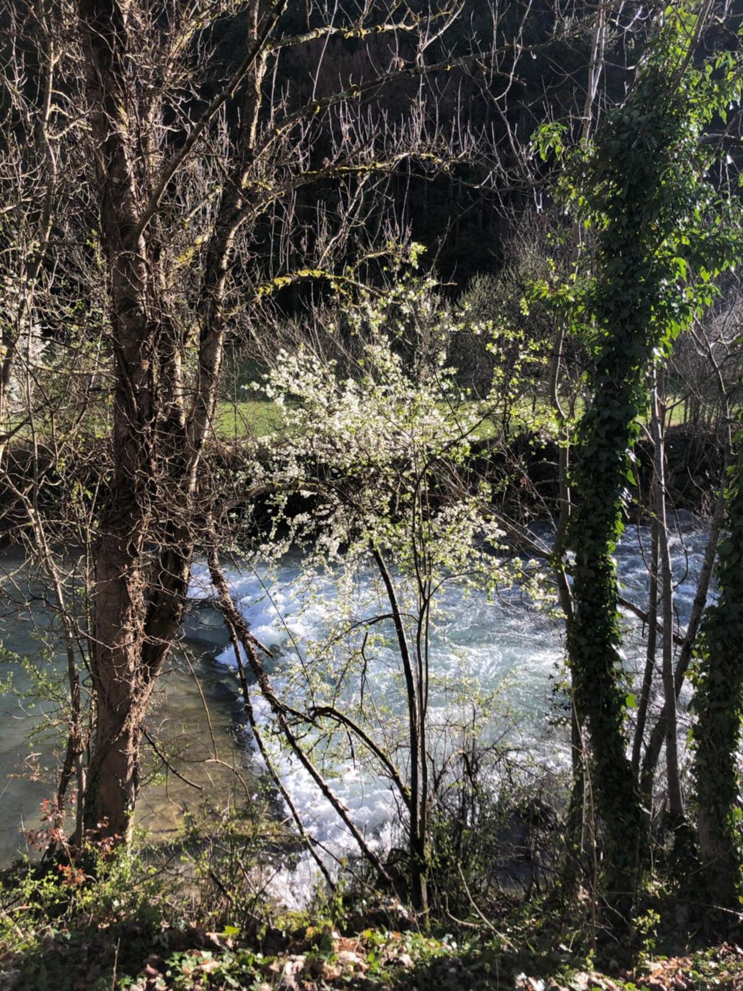Hotel Le Dauphine Châtillon-en-Diois Esterno foto