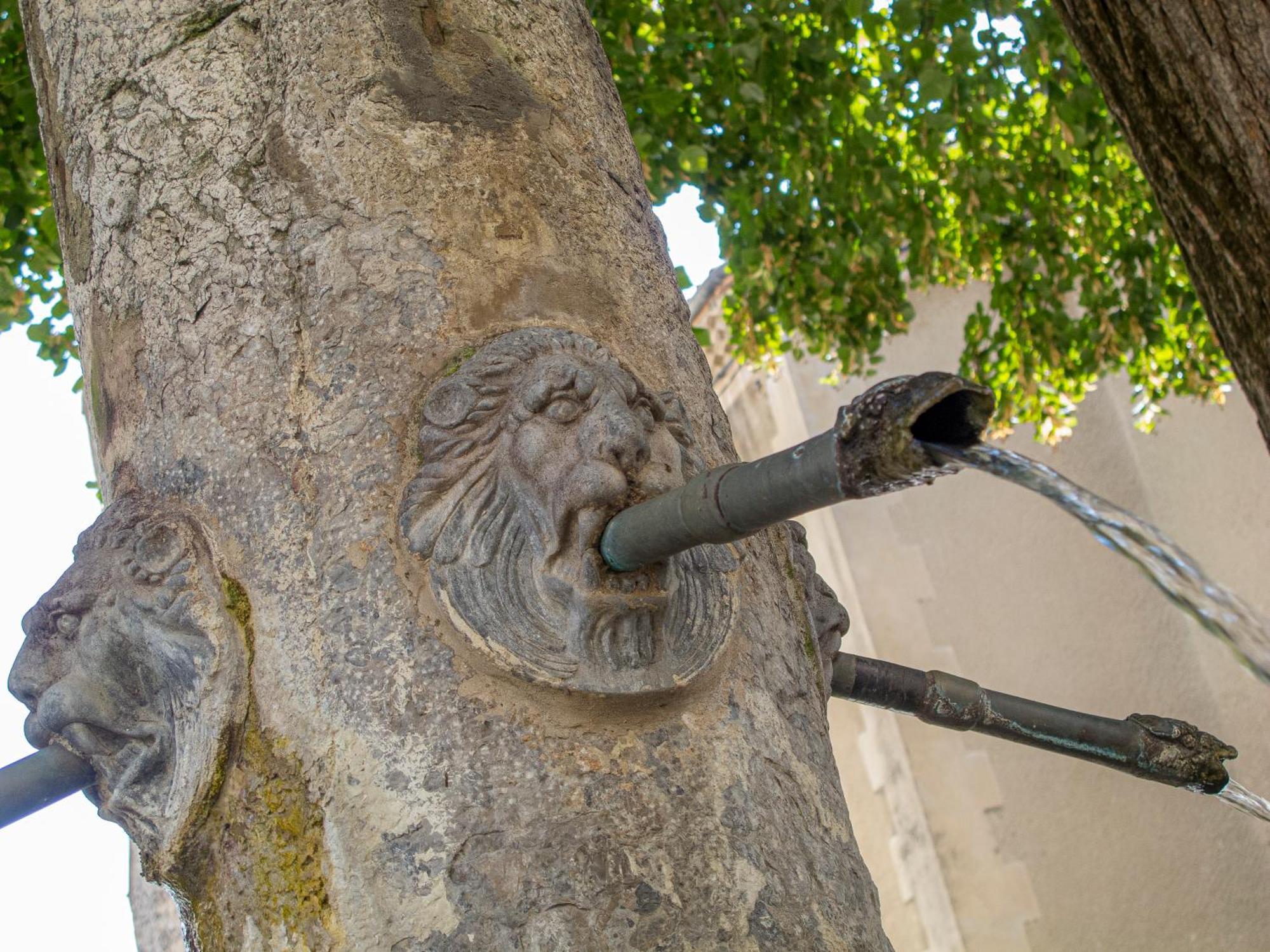 Hotel Le Dauphine Châtillon-en-Diois Esterno foto